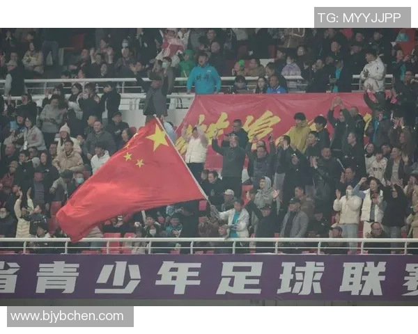 蚌埠足球病毒的崛起与影响探讨如何改变地方足球生态与文化