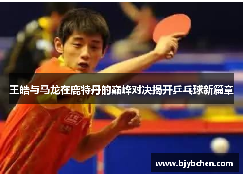 王皓与马龙在鹿特丹的巅峰对决揭开乒乓球新篇章